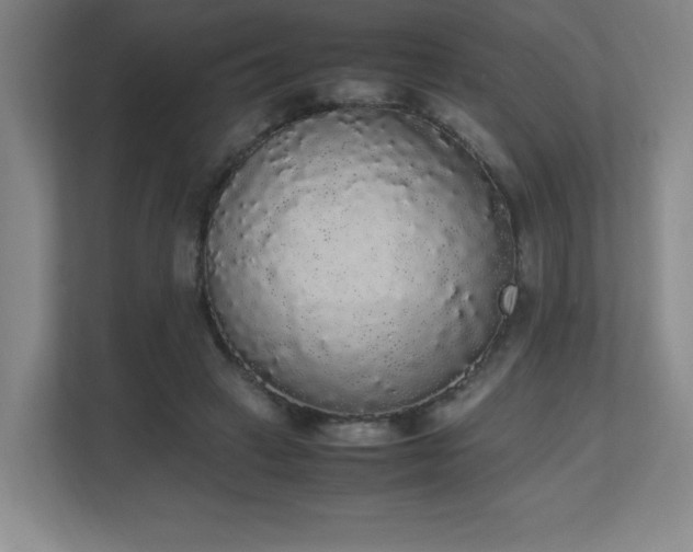 X0000111250449200907021434