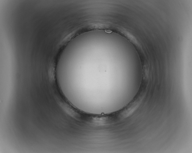 X0000111250450200907021434
