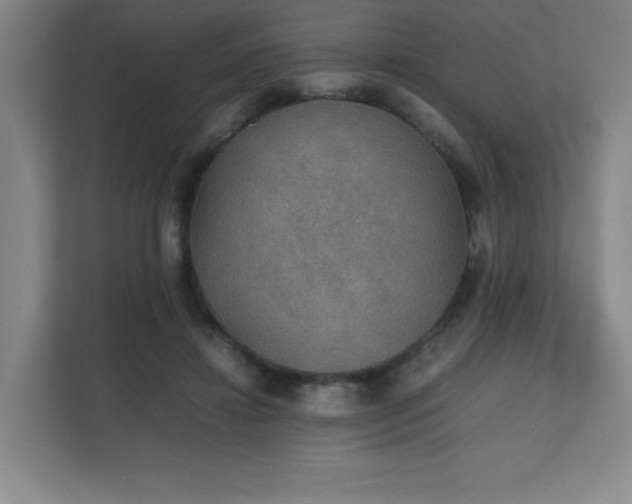X0000111250452200907021434
