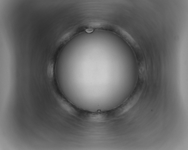 X0000111250454200907021434