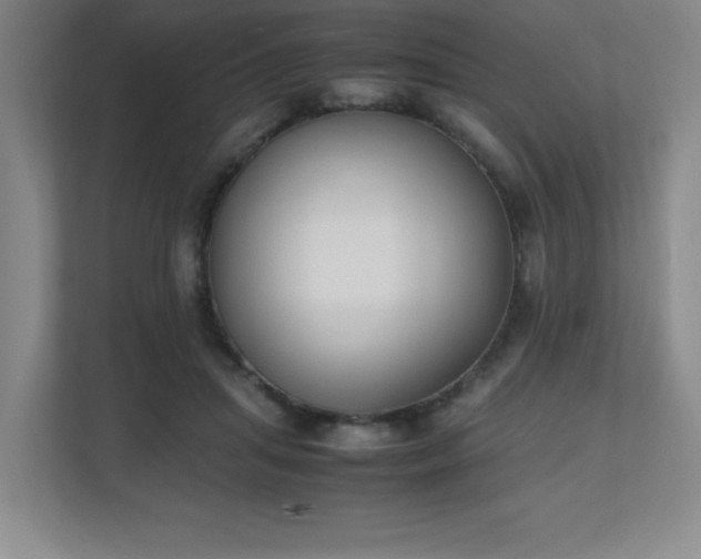 X0000111250455200907021434