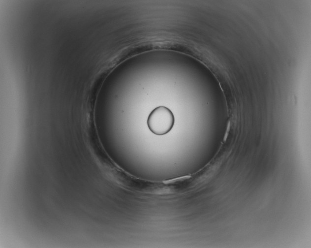X0000111250456200907021434