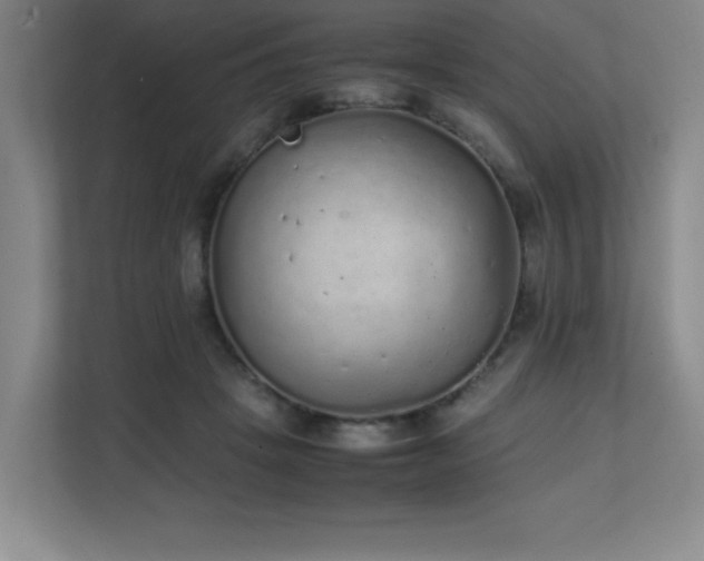 X0000111250457200907021434