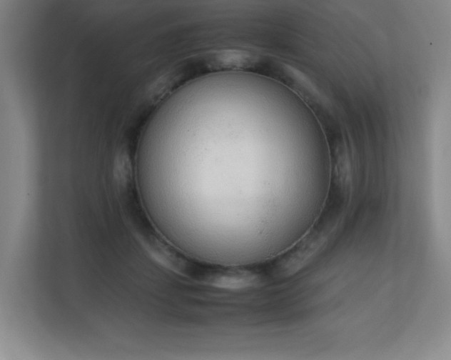 X0000111250459200907021434