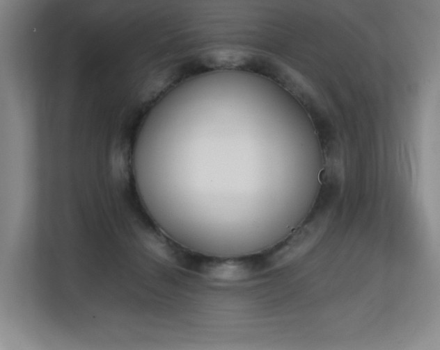 X0000111250460200907021434