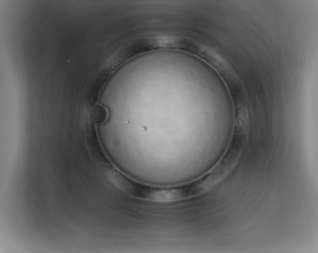 X0000111250461200907021434
