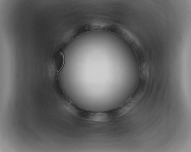 X0000111250463200907021435