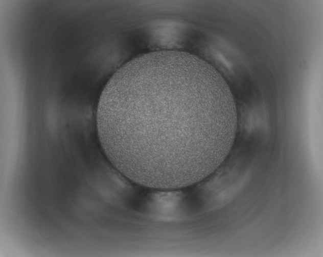 X0000111250465200907021435