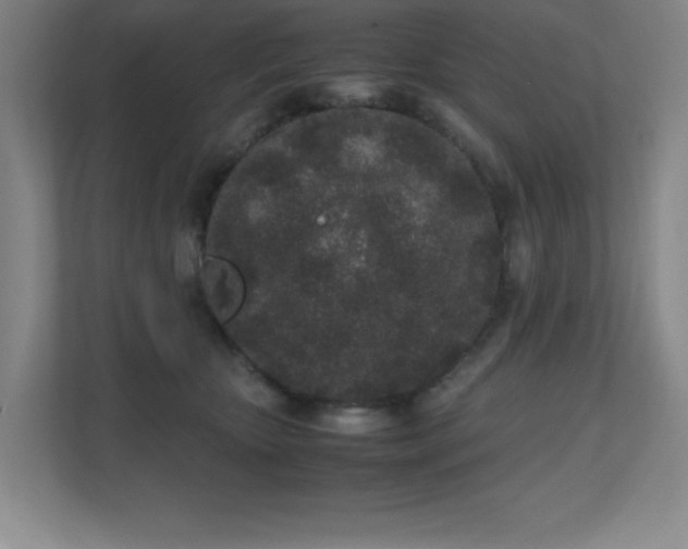 X0000111250467200907021435