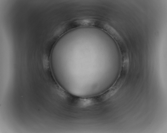 X0000111250469200907021435