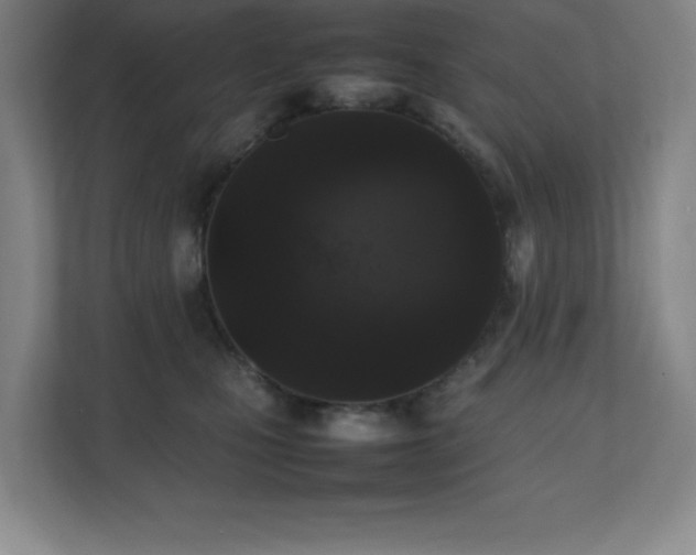 X0000111250471200907021435