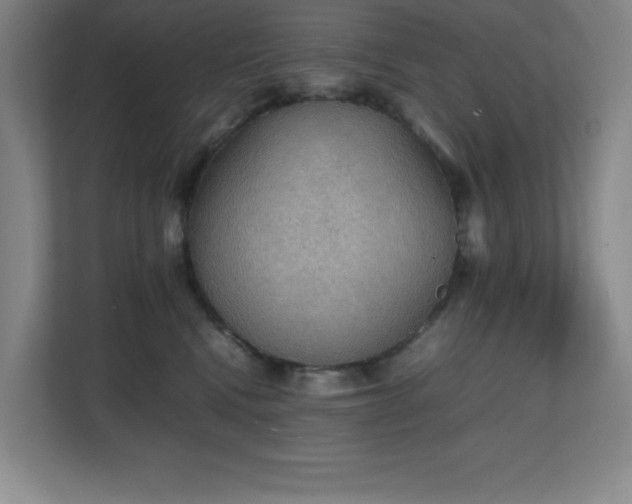 X0000111250472200907021435