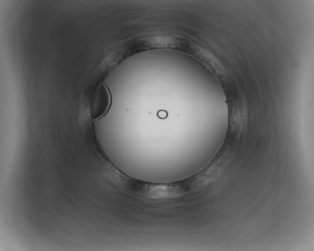 X0000111250473200907021435