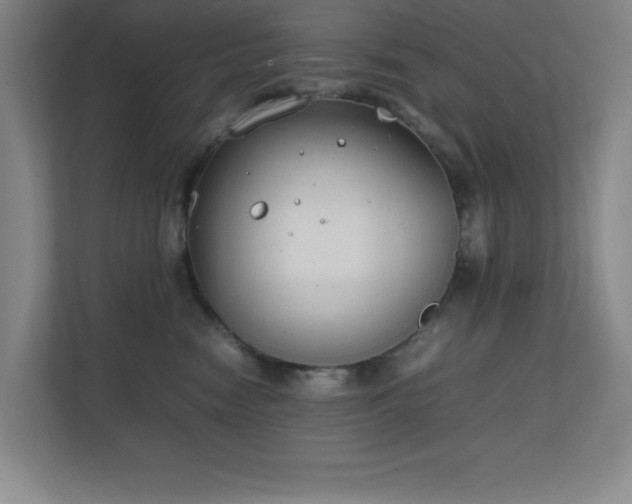 X0000111250474200907021435