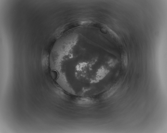 X0000111250475200907021435