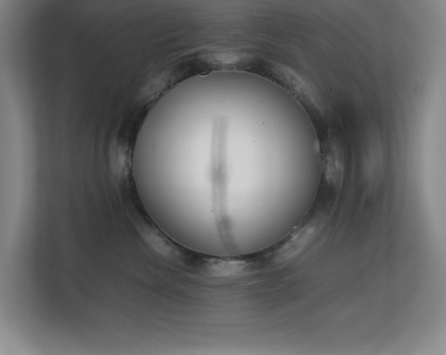 X0000111250476200907021435