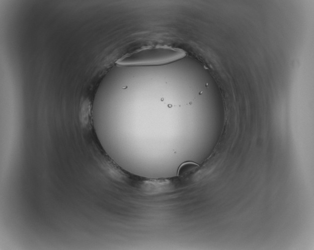 X0000111250480200907021435