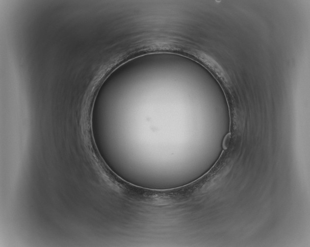 X0000111250481200907021434