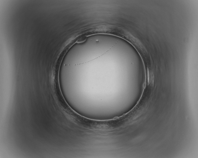 X0000111250483200907021434