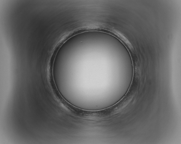 X0000111250485200907021434