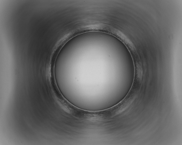 X0000111250486200907021434