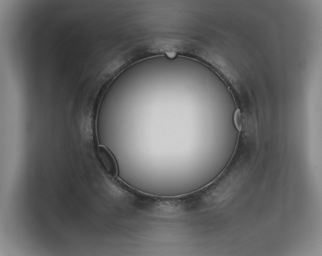 X0000111250489200907021434