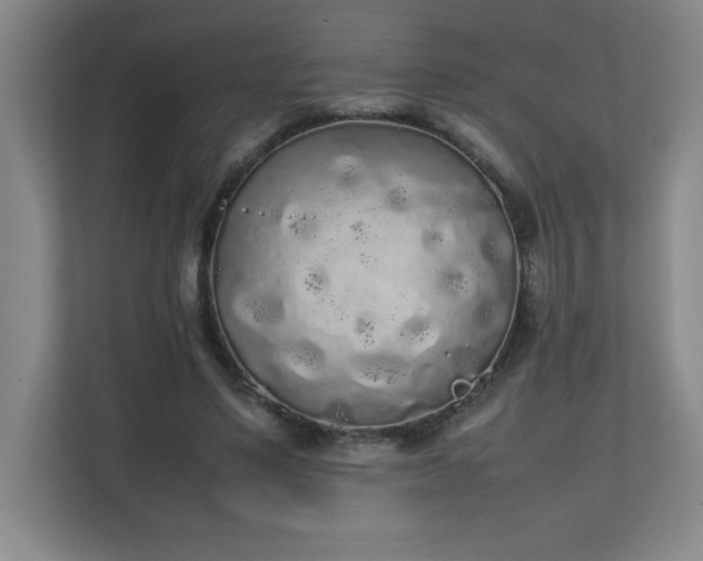 X0000111250491200907021434