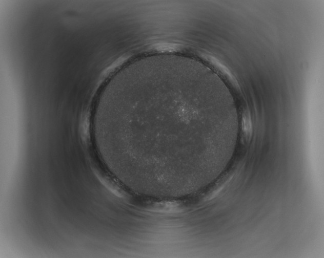 X0000111250492200907021434