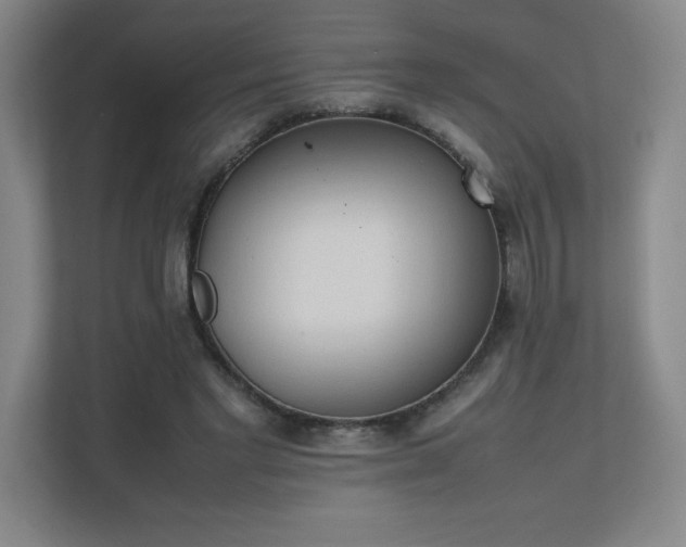 X0000111250493200907021434