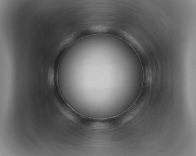 X0000111250494200907021434