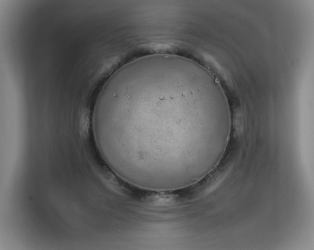 X0000111250495200907021434
