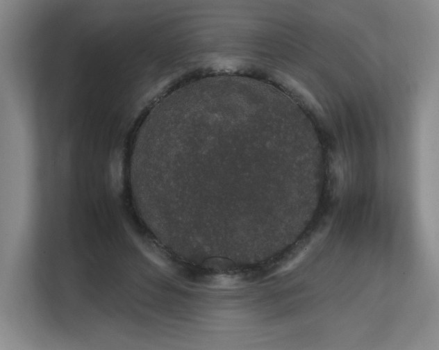 X0000111250496200907021434