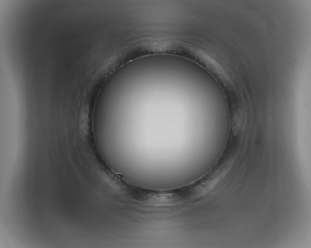X0000111250497200907021434