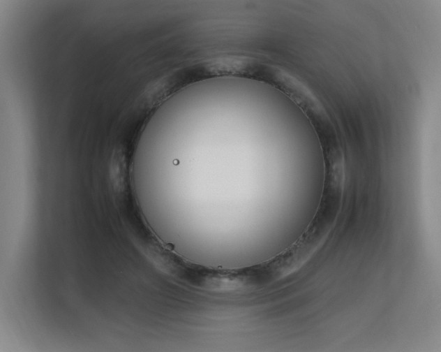 X0000111250498200907021434