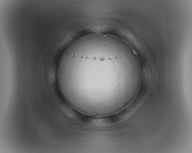 X0000111250499200907021434