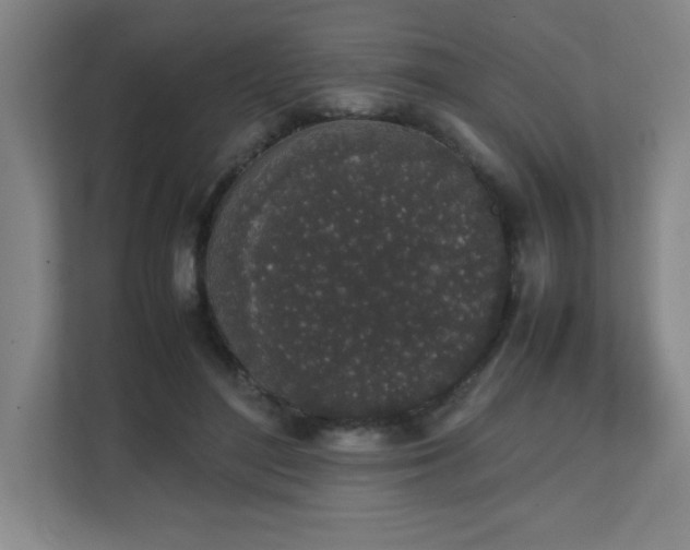 X0000111250500200907021434