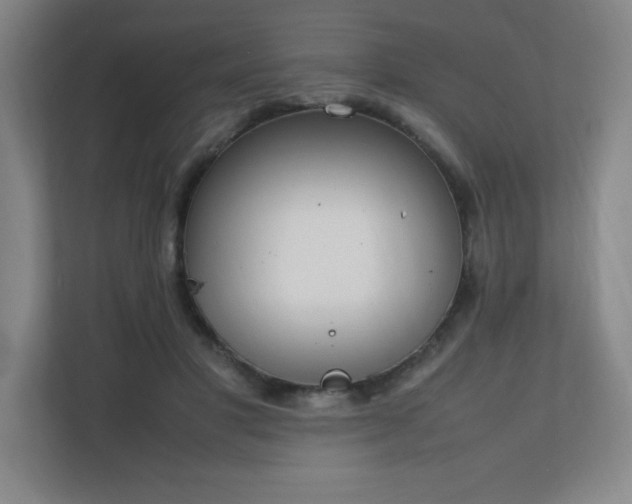 X0000111250501200907021434