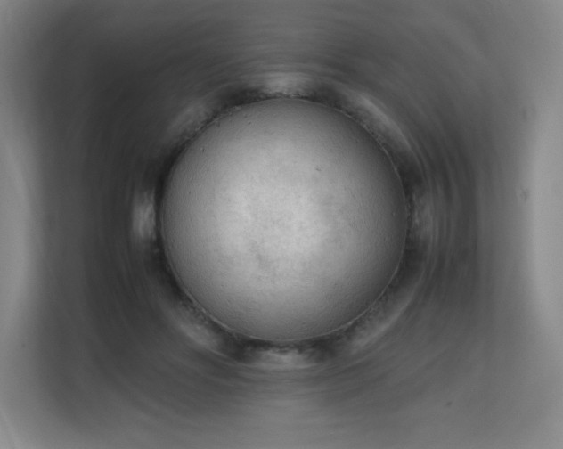 X0000111250502200907021434