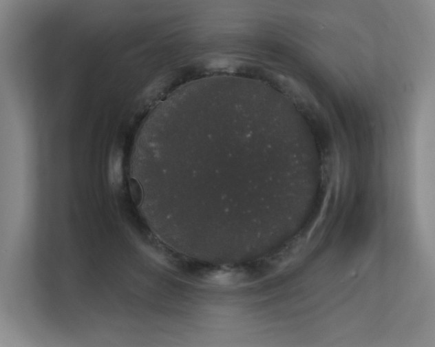 X0000111250504200907021434