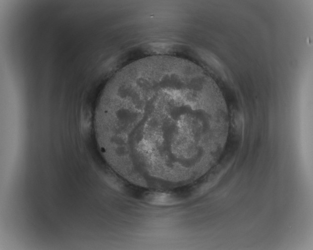 X0000111250507200907021434