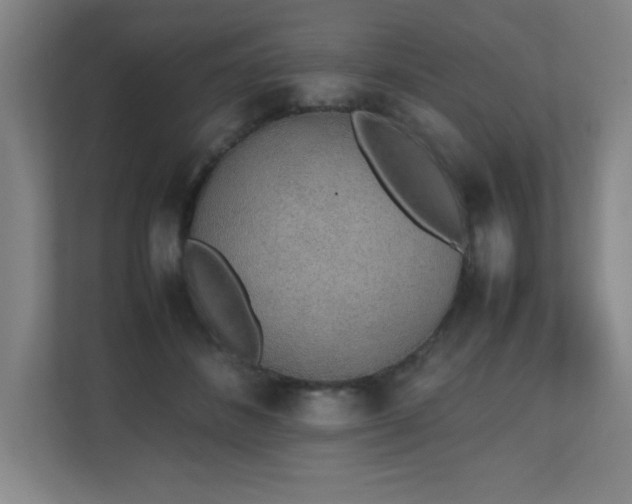 X0000111250508200907021434