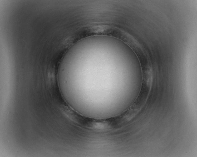 X0000111250510200907021434