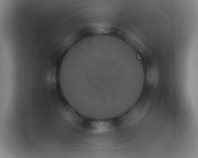 X0000111250512200907021434