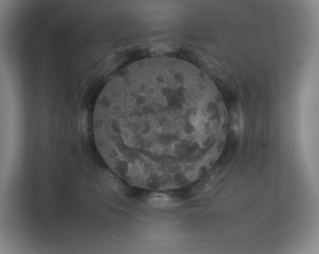 X0000111250519200907021434