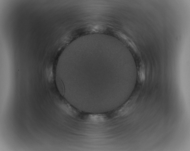 X0000111250520200907021434