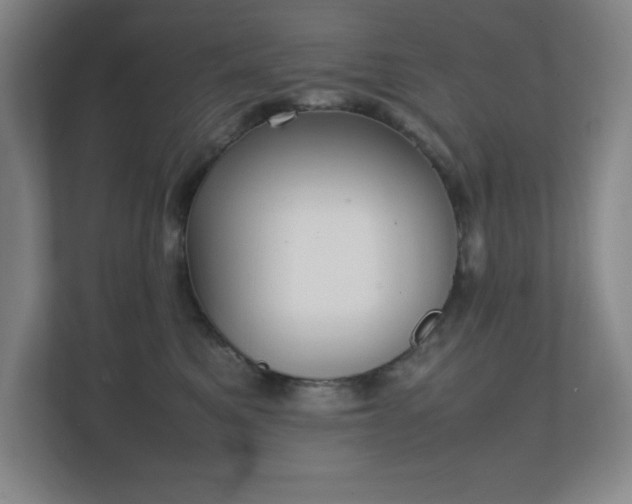 X0000111250521200907021434