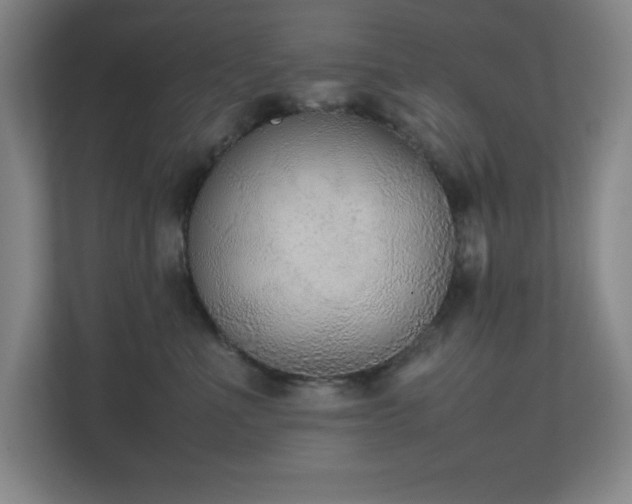 X0000111250523200907021434