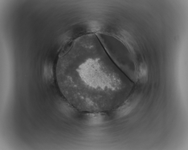 X0000111250524200907021434