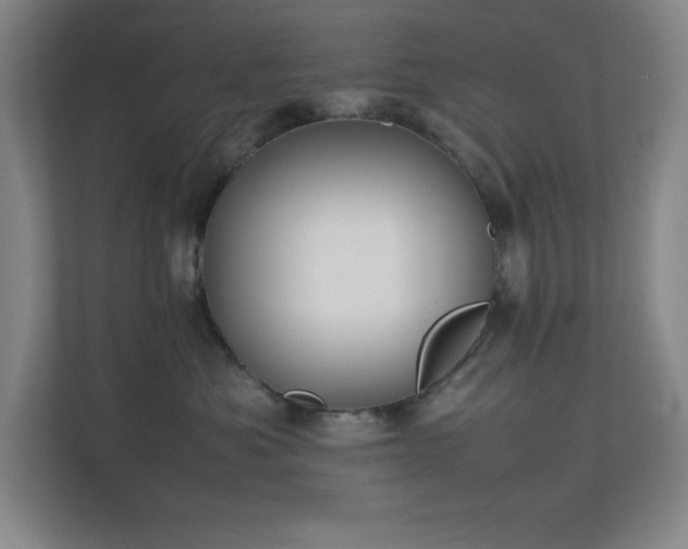 X0000111250525200907021434