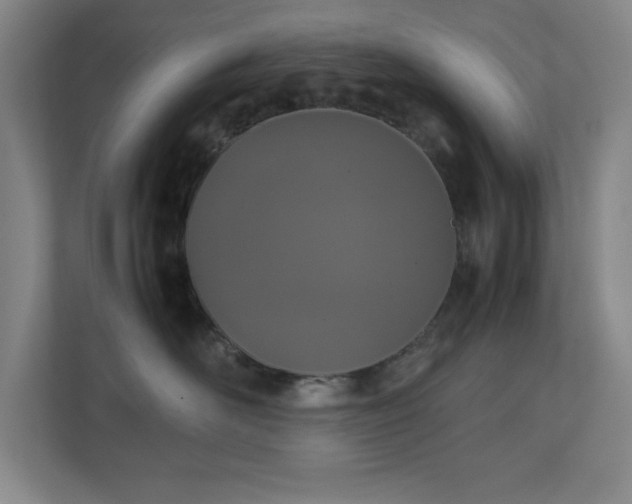 X0000111250526200907021434